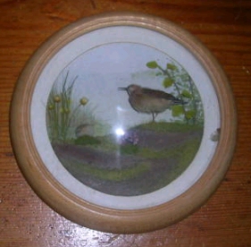 Sandpiper (5-inch)